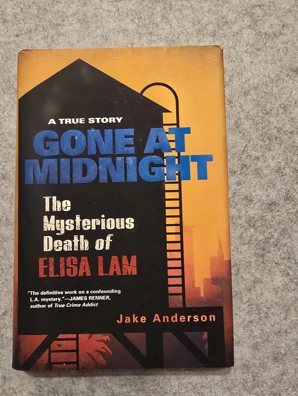 Gone At Midnight The Mysterious Death Of Elisa Lam By Jake Anderson Hardcover